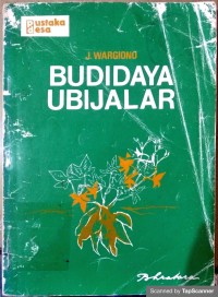 Budidaya Ubi Jalar