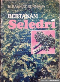 Bertanam Seledri