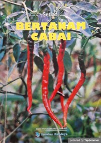 Bertanam Cabai