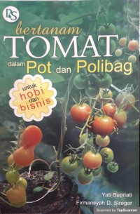 Bertanam tomat dalam pot dan polibag