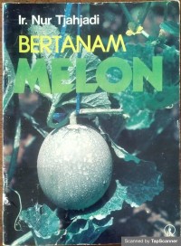 Bertanam melon