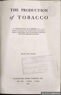 The production of tobacco