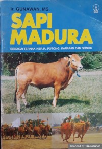 Sapi Madura : sebagai ternak kerja,potong,karapan dan sonok