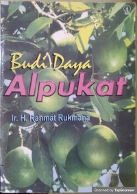 Budidaya alpukat