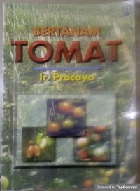 Bertanam tomat