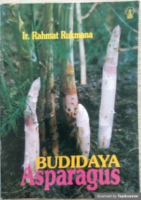 Budidaya Asparagus