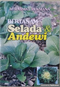 Bertanam selada & andewi