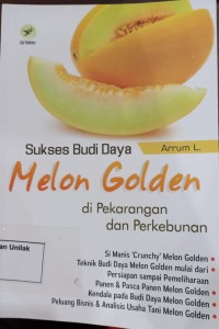 Sukses Budi Daya Melon Golden di Pekarangan dan Perkebunan