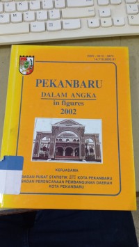 Image of Pekanbaru Dalam Angka in figures 2002