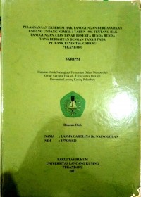 Image of Pelaksanaan eksekusi hak tanggungan berdasarkan undang-undang nomor 4 tahun 1996 tentang hak tanggungan atas tanah beserta benda benda yang berkaitan dengan tanah pada pt.bank panin Tbk.cabang pekanbaru